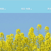 심리학도의 좌충우돌 개발 여행기
