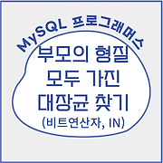 안나세나 코딩 학습일지
