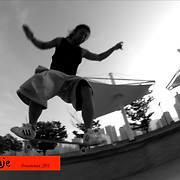 monopatin skateboards