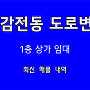 더부동산051 [가나부동산] 010-6521-0114 / 322-4422