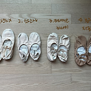 숲콩