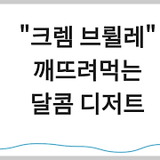 얌얌스톤의 거북이샬롱