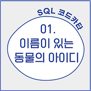 안나세나 코딩 학습일지