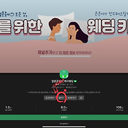 숲콩