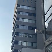 숲콩