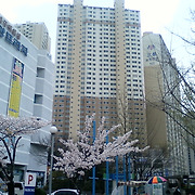 더부동산051 [가나부동산] 010-6521-0114 / 322-4422