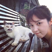 걸스타 파헤치기