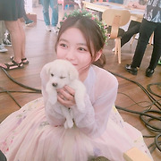 걸스타 파헤치기