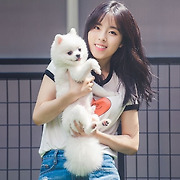 걸스타 파헤치기