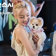 걸스타 파헤치기