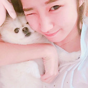 걸스타 파헤치기