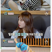 걸스타 파헤치기