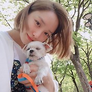 걸스타 파헤치기