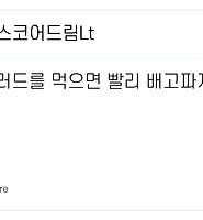 알트태그삽입2