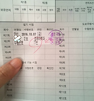티스토리카테고리다른글
