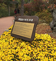 티스토리카테고리다른글