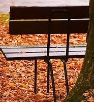 카테고리 다른 글