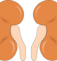 카테고리 다른 글