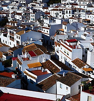 카테고리 다른 글