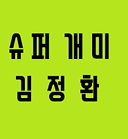 카테고리 다른 글