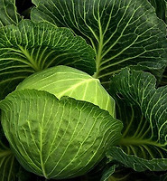 카테고리 다른 글