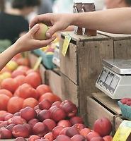 카테고리 다른 글