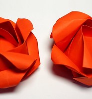 Easy Origami Rose Flower Instruction With Video