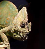 카테고리 다른 글