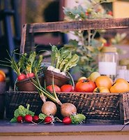 카테고리 다른 글