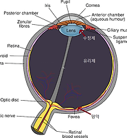 카테고리 다른 글