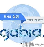 가비아 도메인 DNS 설정 TXT 레코드 추가하기 글의 대표 썸네일 이미지