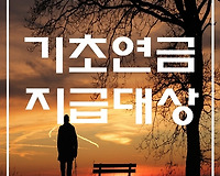 기초연금  지급대상 및 지급기준이 되는 소득인정액 계산하는 법