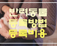 반려동물 등록방법 등록비용 보험