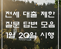 전세 대출 제한 궁금증 해결을 위한 질문 답변 18개 모음