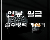 2020년 연봉 실수령액 계산기, 실제 월급 확인하기
