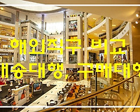 해외직구 배송대행 구매대행 직접배송 비교