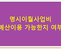 명시이월사업비 예산이용 가능한지 여부