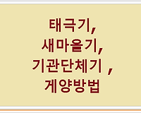 태극기 새마을기 기관단체기 게양방법
