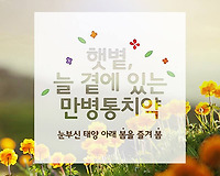 우리도 식물처럼 광합성을 해야 기분이 좋아지고 건강해진다