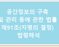 공간정보의 구축 및 관리 등에 관한 법률 제91조(지명의 결정) 법령해석