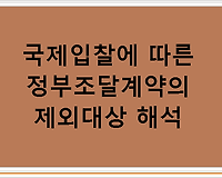 국제입찰에 따른 정부조달계약의 제외대상 해석
