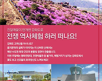 강화도 고려산 진달래 축제 그리고 역사체험 전쟁박물관