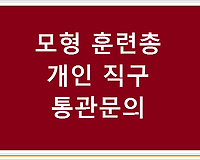 모형 훈련총 개인 직구-통관문의