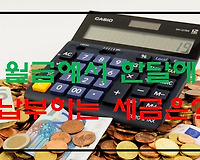 월급에서 한 달에 납부하는 세금은?