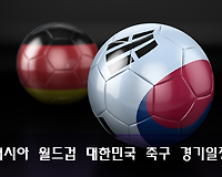 러시아 월드컵 대한민국 경기일정, 대표팀 명단 등 총정리 (한국시간)