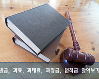벌금, 과료, 과태료, 과징금, 범칙금 등 차이 알기 쉽게 알려드려요