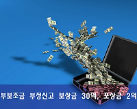 정부보조금 부정수급 신고하고 보상금 30억원, 포상금 2억원 받기