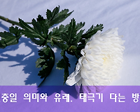 현충일 공휴일, 의미와 유래 그리고 태극기 다는 방법 (조기게양)