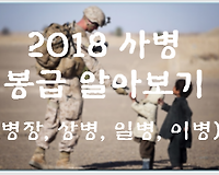 2018 군인(병장, 상병, 일병, 이병) 봉급 및 급식단가 알아보기