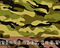 군인적금, 장병내일준비적금 출시일 및 가입대상, 금리, 판매은행 등 정리
